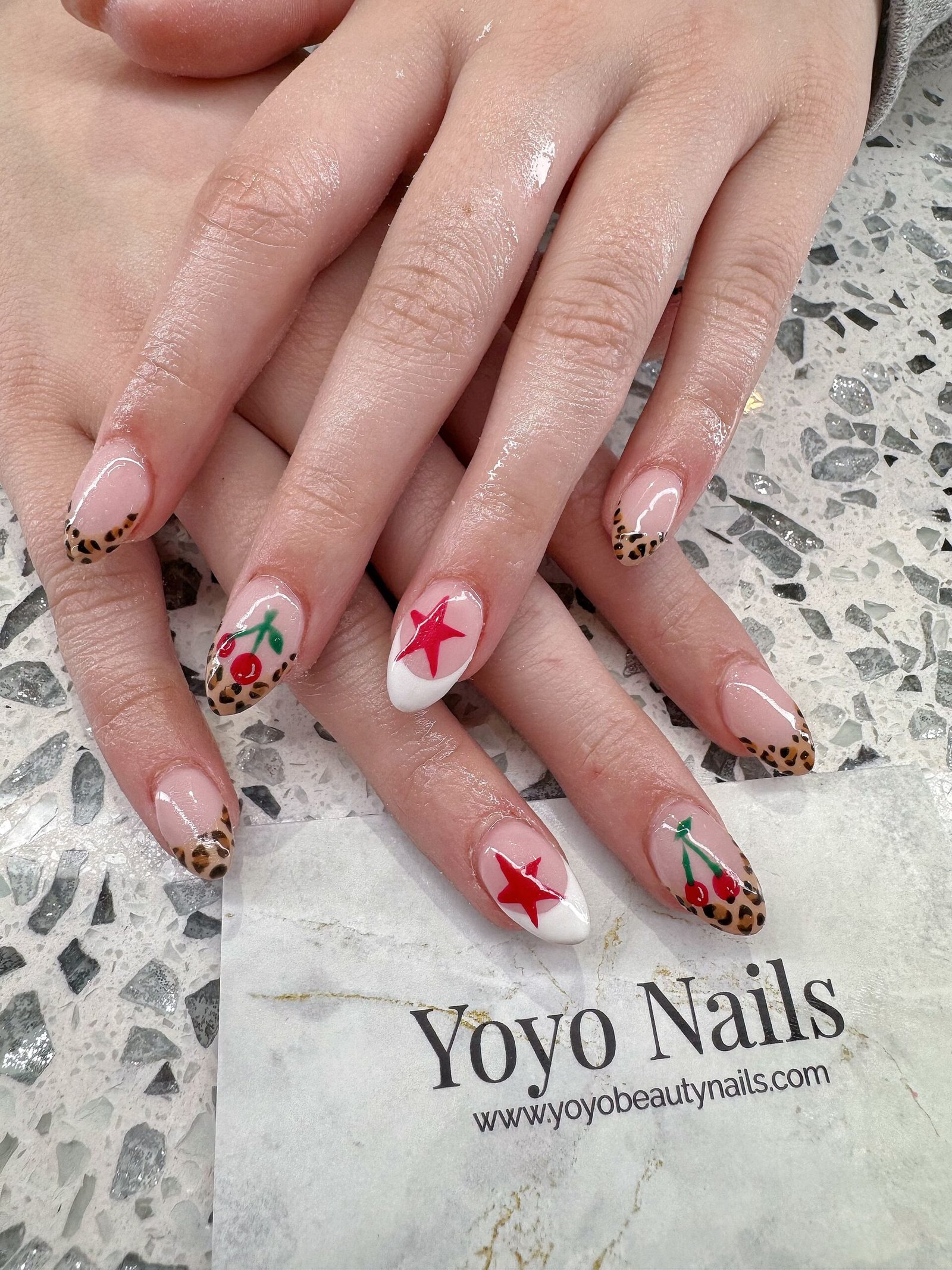 {{brizy_dc_image_alt imageSrc=